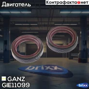 ������� ��������� �������� AD VW 5cyl MB Vito (35x48x10) GANZ GIE11099 GANZ ���. GIE11099 GIE11099 ����