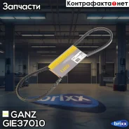 ������ �������� 10X950 VAG / BMW / GM-OPEL GANZ ���. GIE37010 GIE37010 ����