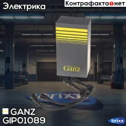 ������� �������������� Suzuki Ignis/Liana/Swift GANZ GIP01089 GANZ ���. GIP01089 GIP01089 ����