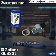 ������ �������� ����� Gallant ���. GLSS31 GLSS31 ����