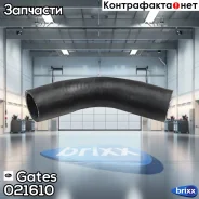 ��������� �������� Gates ���. 021610 021610 ����