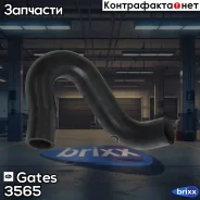 ��������� �������� ��������� Gates ���. 3565 3565 ����