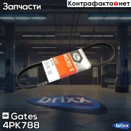 ������ ������������ Gates Gates ���. 4PK788 4PK788 ����