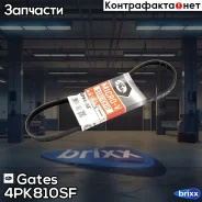 ������ ������������ Gates ���. 4PK810SF 4PK810SF ����