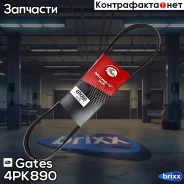 ������ ������������ Gates ���. 4PK890 4PK890 ����