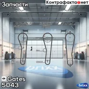 ������ ��� Gates ���. 5043 41088x3/ 4 5043 ����