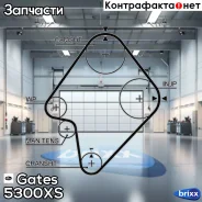 ������ ��� Gates ���. 5300XS 164x1 5300XS ����
