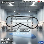 ������ ��� Gates ���. 5531XS 97087x24 HSN 5531XS ����