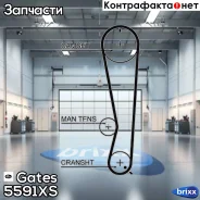 ������ ��� Gates ���. 5591XS 111x25 5591XS ����
