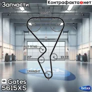 ������ ��� Gates ���. 5615XS 135x25.4 5615XS ����