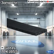 ������ ������������ Gates ���. 7PK1855 7PK1855 ����