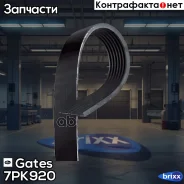 ������ ������������ Gates ���. 7PK920 7PK920 ����