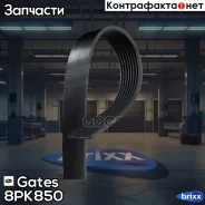 ������ ������������ Gates ���. 8PK850 8PK850 ����