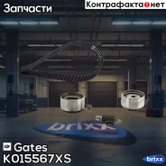 �������� ����� ��� Gates ���. K015567XS K015567XS ����