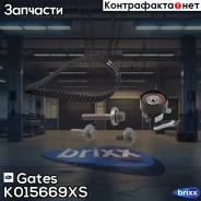 �������� ����� ��� Gates ���. K015669XS K015669XS ����