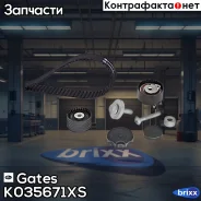 ����������� ������� ��� Gates ���. K035671XS K035671XS Gates K035671XS ����