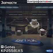 ����, ������ KP35581XS �������� ����� ��� + ����� ������� Gates ���. KP25581XS KP25581XS ����