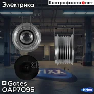 �������� ���������� ���� ���������� Gates ���. OAP7095 OAP7095 ����