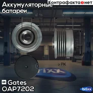 ���� ���������� 7789-10202 OPEL Astra J/Cascada/Corsa/Insignia/Meriv�a 10- Gates ���. OAP7202 OAP7202 ����