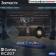 ������ ��������������� ����� Gates ���. RC207 RC207 ����
