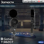 ����� �������� ��������� ������������ Gates ���. T38207 T38207 ����