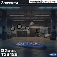 �������� �������� Gates ���. T38429 T38429 Gates T38429 ����