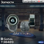 ����� �������� ��������� ������������ Gates ���. T38489 T38489 ����