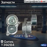 ����� �������� ��������� ������������ Gates ���. T39284 T39284 ����
