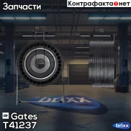 ����� �������� ����� ��� Gates ���. T41237 T41237 ����