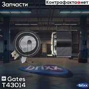 ����� �������� ����� ��� Gates ���. T43014 T43014 ����