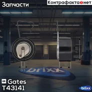 ����� �������� ����� ��� Gates ���. T43141 T43141 ����