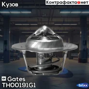 ��������� Gates ���. TH00191G1 TH00191G1 ����