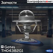 ��������� Gates ���. TH04382G1 TH04382G1 ����