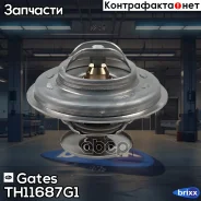 ��������� Gates ���. TH11687G1 TH11687G1 ����