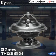 ��������� Gates ���. TH12685G1 TH12685G1 ����