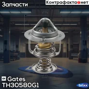 ��������� Gates ���. TH30580G1 TH30580G1 ����