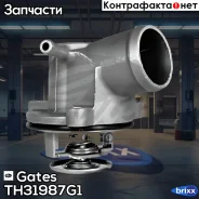 ��������� Gates ���. TH31987G1 TH31987G1 ����