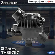 ��������� Gates ���. TH39797 TH39797 ����