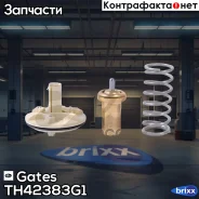 ��������� Gates ���. TH42383G1 TH42383G1 ����