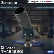 ��������� Gates ���. TH45482G1 TH45482G1 ����