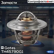 ��������� Gates ���. TH45790G1 TH45790G1 ����