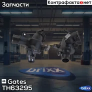 ��������� Gates ���. TH63295 TH63295 ����