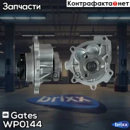 ����� ������� Gates ���. WP0144 WP0144 ����