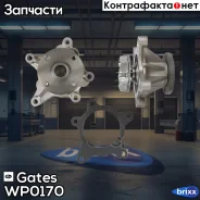 ������� ����� Gates ���. WP0170 WP0170 Gates WP0170 ����