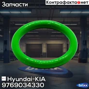 ������ �������������� Hyundai-KIA ���. 9769034330 9769034330 ����