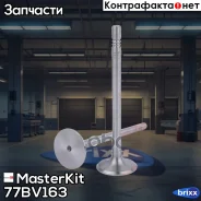 ������ �������� VAG CARB, CEXA 77BV163 MasterKit ���. 77BV163 77BV163 ����