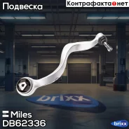 ���� / ������, �������� ������ Miles ���. DB62336 DB62336 ����