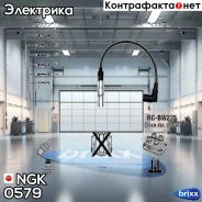 ������� �������������� RCBW235 NGK ���. 0579 0579 ����