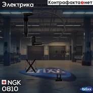 ������� �������������� RCOP440 NGK ���. 0810 0810 ����