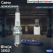 ����� ��������� V-LINE-33 NGK ���. 1662 1662 ����
